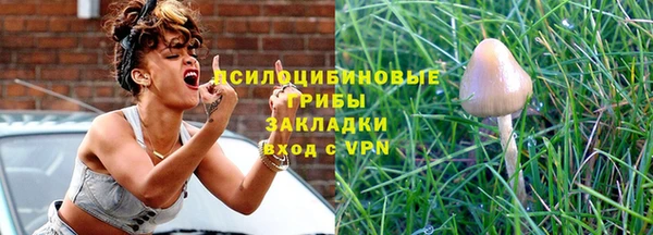 сатива Алзамай