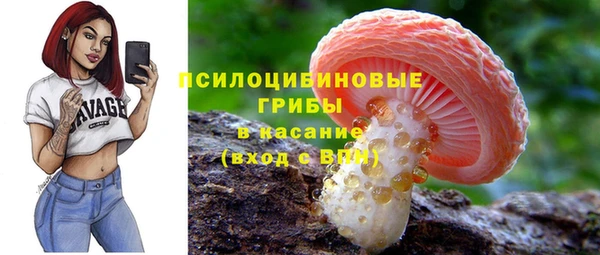 дживик Алексеевка