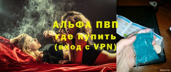 сатива Алзамай