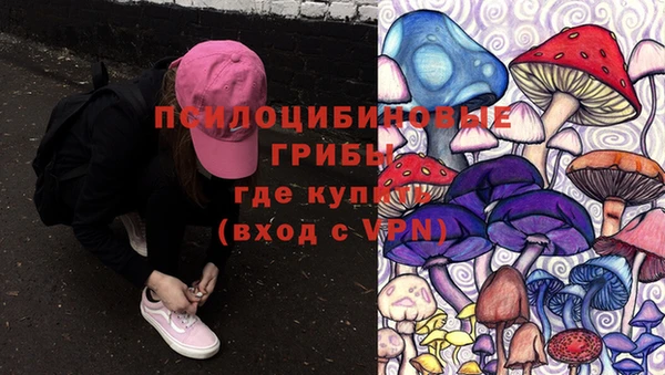 сатива Алзамай