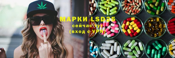 сатива Алзамай